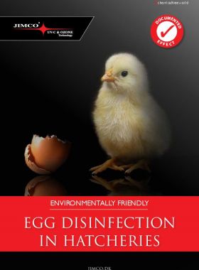 Egg Disinfection Brochure